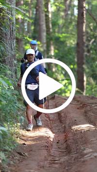 BIB:  <button type="button" onclick="openModal(26569811)" class="btn btn-primary btn-sm float-right" data-toggle="modal" data-target=".modal-high-quality">
                <i class="fa fa-download"></i> Download
                </button>